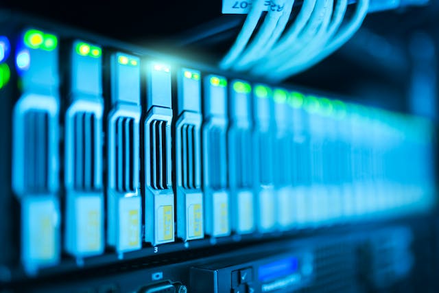 Wordpress Database