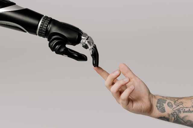 Humans and Bots