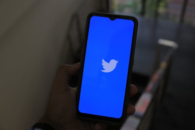 Twitter Bird