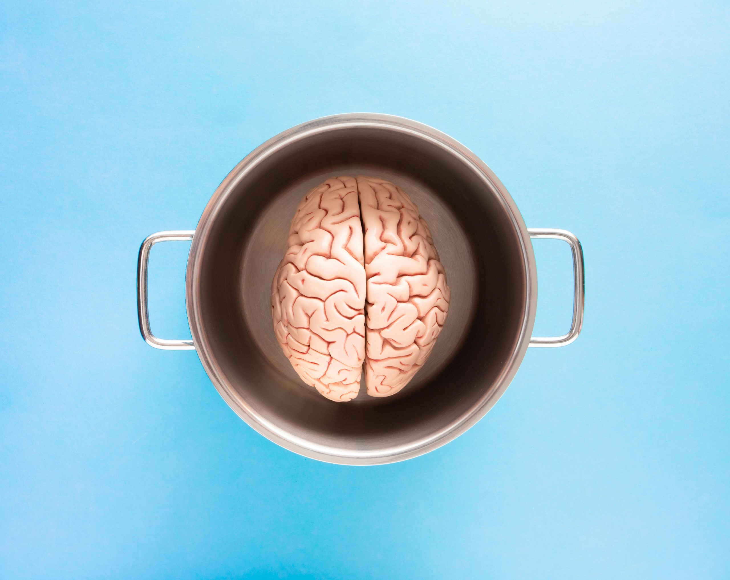 Boiled Brain
