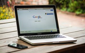 New to SEO My website lost all its search authority overnight