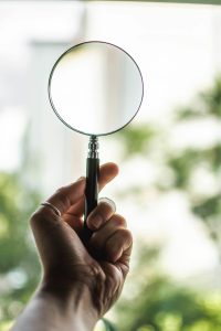 Bots manipulating search volume? and if so, why?