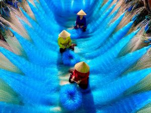 SEO/AEO/GEO Tools to see scores